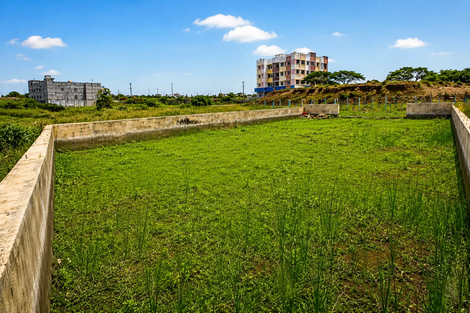 Sri Vengateshwara Plot